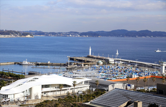 Enoshima Yacht Harbour